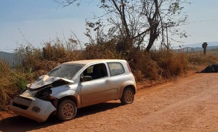 Motorista Sai Ileso Ap S Bater Carro Em Boi Na Estrada Rural De Alagoas