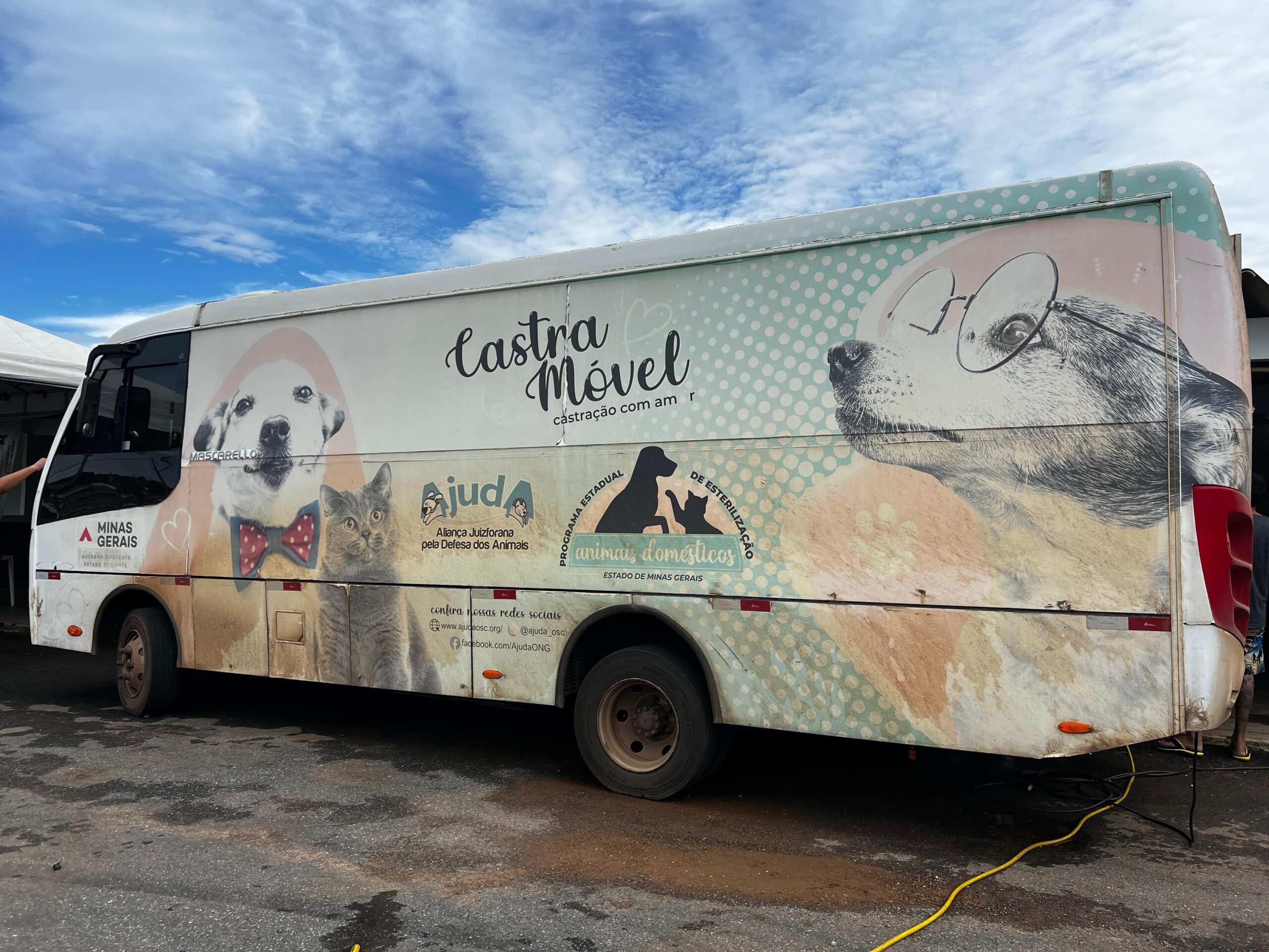 Castra Móvel realizará procedimento gratuito de castração de cães e gatos em Presidente Olegário