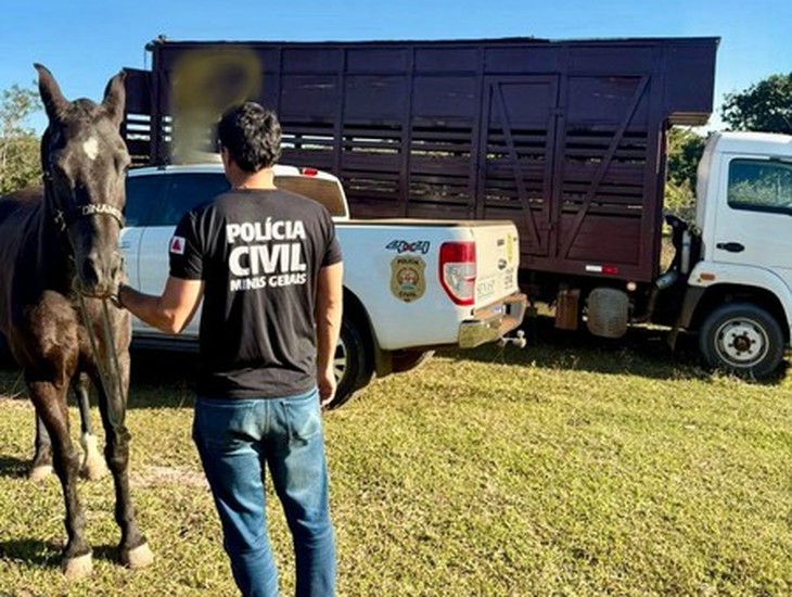 PC recupera égua de alto valor comercial em Presidente Olegário durante investigação interestadual