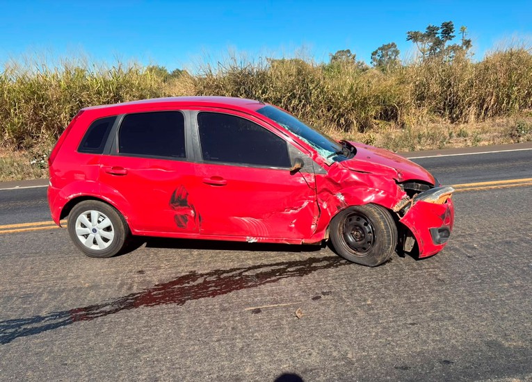 Após acidente em 3ª faixa, caminhão tenta frear e despeja vísceras de animais na BR 365