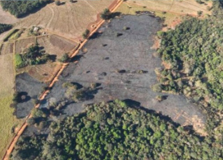 Idosa que causou queimada de 8 hectares ao apagar fornalha vai responder na justiça